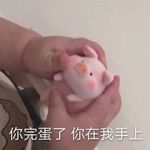 今天我也很可爱啊