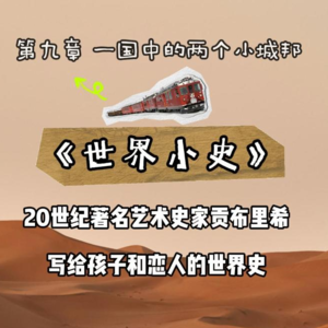 第九章 一国中的两个小城邦 🐆