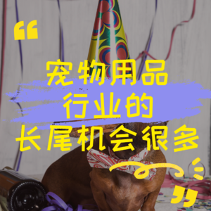 宠物用品行业的长尾机会很多