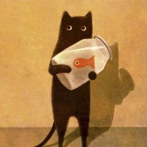 猫吃鱼尾纹