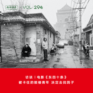 Vol.294 访谈|电影《东四十条》：被卡住的鼓楼青年，决定去找鸽子
