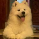 勇敢小然不怕困难