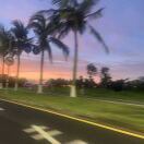 PLing_bl66