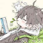无相雾面