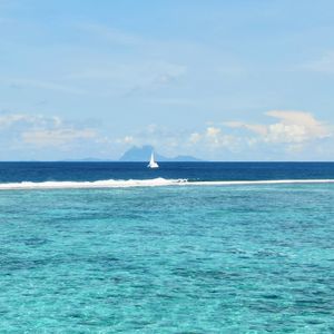 第83期：南太平洋岛屿游荡记