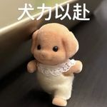 糖渍小辣椒