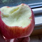 清早我去拾粪来