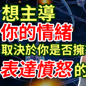 女神俞飞鸿都渴望拥有的能力:表达愤怒情绪