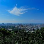 抱春山