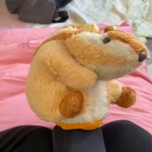 16＊阿贝贝这个东西，有点儿说法！