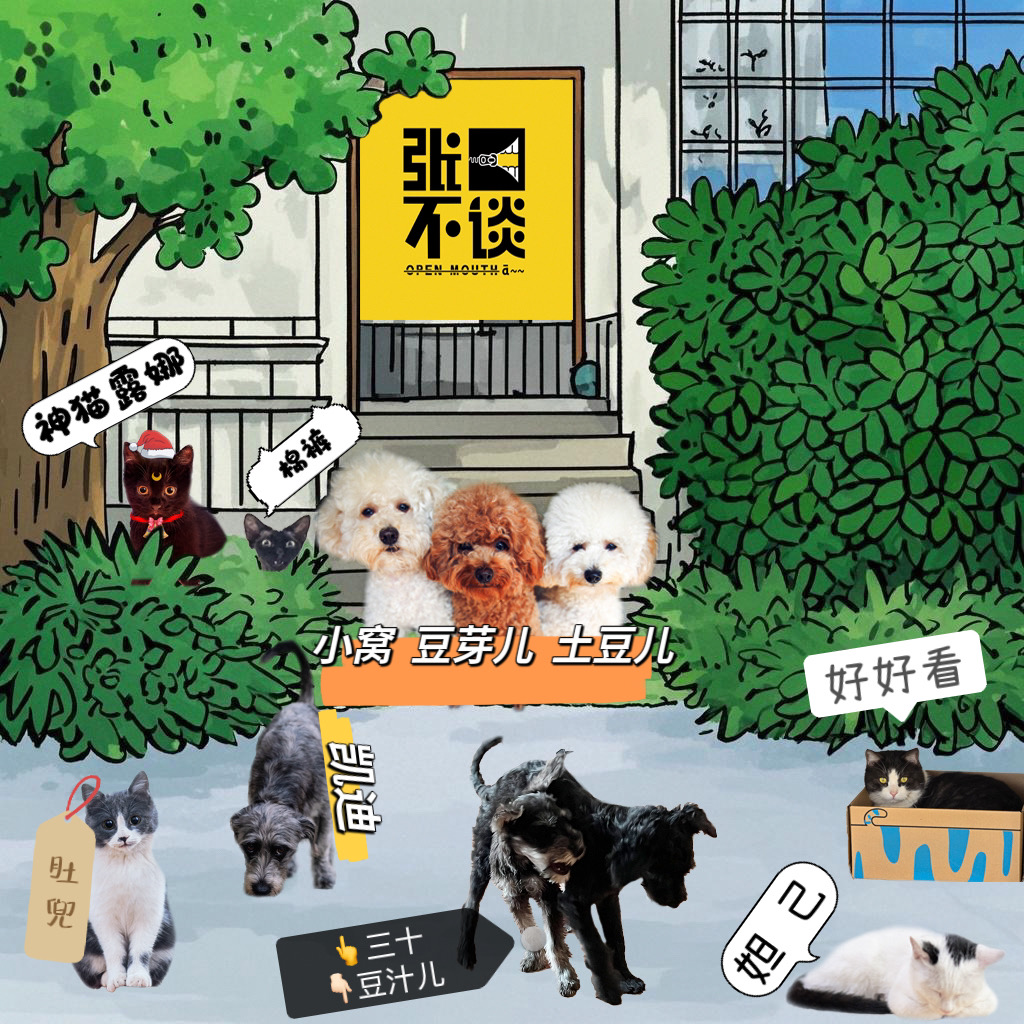 004—那些年小院儿里的猫猫狗狗 episode artwork