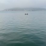 栅栏OKis