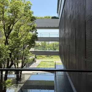 vol.80 今年即将过半，可以给自己无条件地发放奖励了