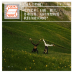 Vol.54【情人节特辑】爱的艺术：自由、独立、尊重边界，这样理想的爱我们真能实现吗？