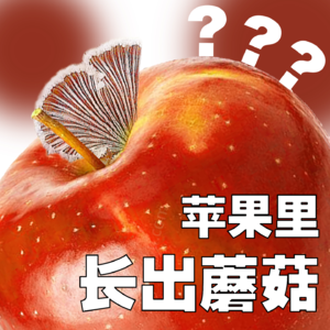 Vol.97 你说，这种蘑菇吃起来有苹果味儿吗？