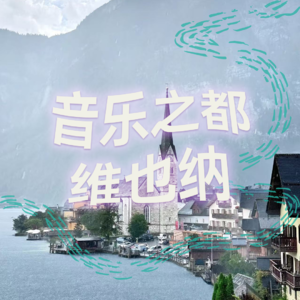 纯人声15mins | 音乐之都·维也纳 | 高质量中文快速深度催眠冥想放松助眠