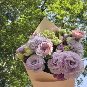 1-3芭蕾概述+前浪漫主义芭蕾