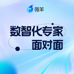 数智化专家面对面