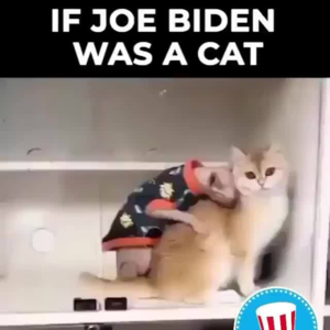 ”病了“的拜登会退选么?