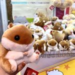 期待跋扈嚣张与咆哮