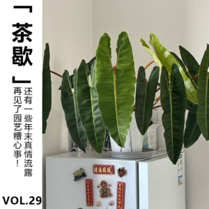 Vol.29【茶歇】再见了园艺糟心事！还有一些年末真情流露