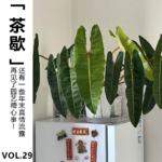 Vol.29【茶歇】再见了园艺糟心事！还有一些年末真情流露