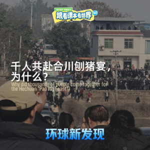 千人共赴合川刨猪宴，为什么？ - 2026/01 第三周