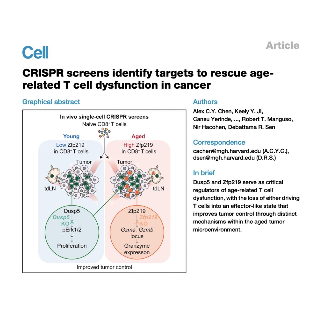 1501-Dusp5&Zfp219 to Rejuvenate Aged Antitumor Immunity episode artwork