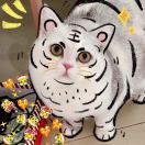 石头_PDiY