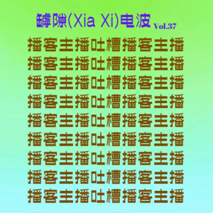 播客主播身上的问题，我先简单说两句