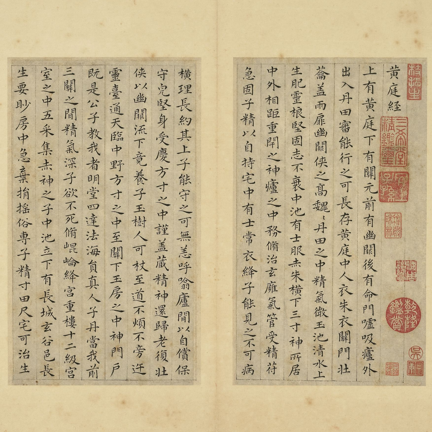 200·祝允明（上）--五岁挥毫作大字 episode artwork