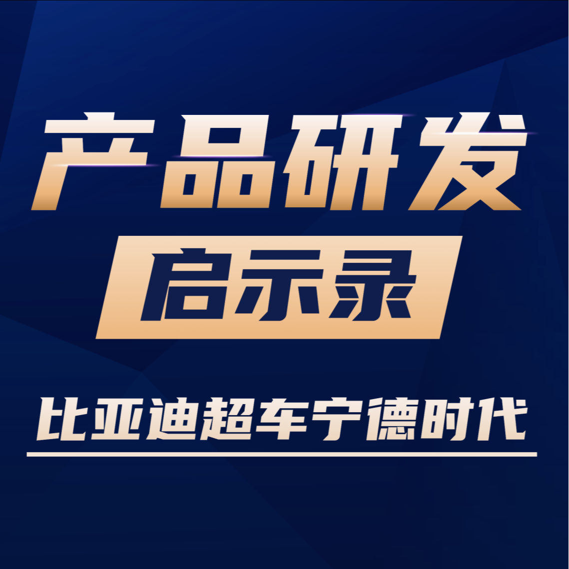 VOl.13比亚迪市值超车宁德时代，产品战略定位的胜利？