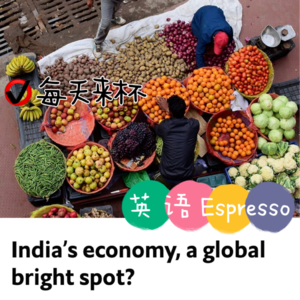 【14】印度经济或将腾飞