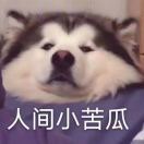 人间小甜瓜_iCgD