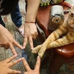 食堂泼辣酱v