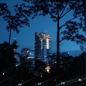 15.别再无效卷了，实习是大学里最值得的‘自我投资