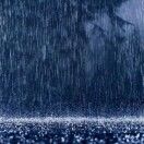 珍珠雨_YsaJ