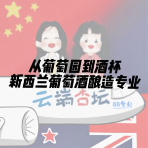 【88专业】新西兰葡萄酒酿造师的日常与浪漫