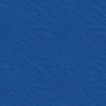 一座驼峰的骆驼