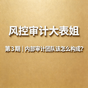 第3期｜一个健康的内部审计团队，到底该怎么构成？