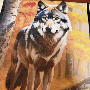 vol.21 谢胜子：所谓迷茫，是贪心地想直接找到人生的全局最优解