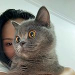 李李_VXLF
