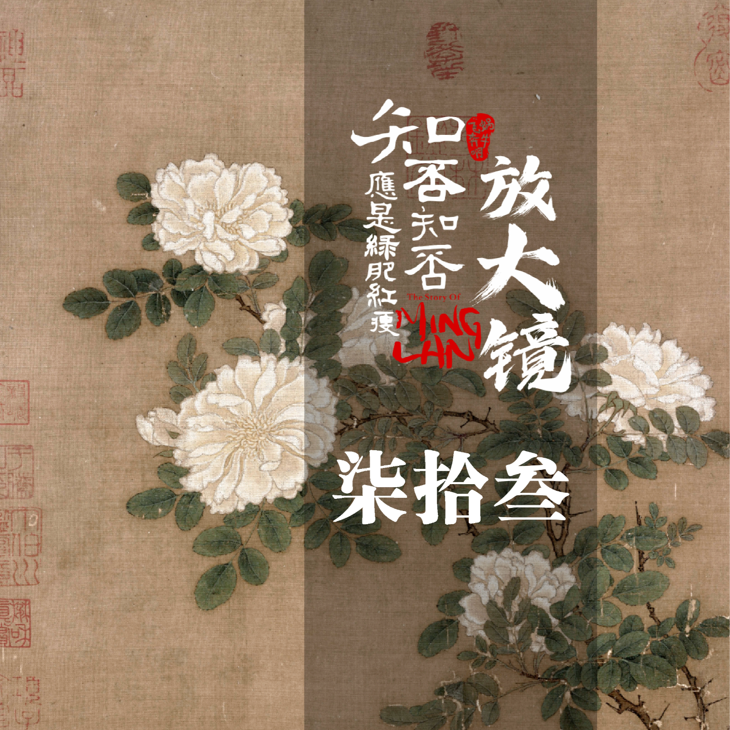 知否放大镜73：顾家兄弟为何夺枪？ episode artwork