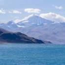 大白兔爱吃大白菜