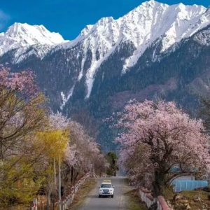 02云南，你相信奇迹吗？