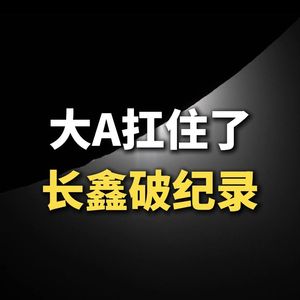 大A扛住了，长鑫破纪录