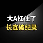 大A扛住了，长鑫破纪录