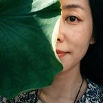 鲸鱼时光机