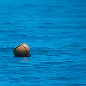 027「苦尽柑来遇到你」：风，嗡嗡嗡：心，嘤嘤嘤。