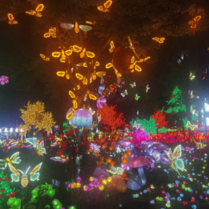 恐龙大百科—头饰龙家族